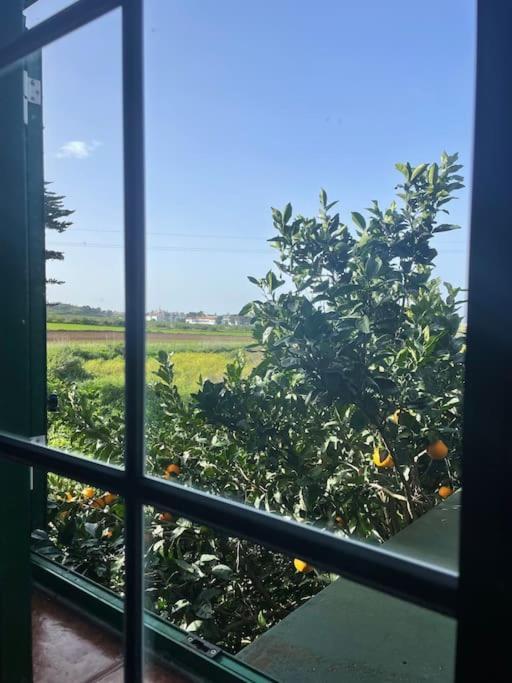 La Macadamia Villa La Laguna  Exteriör bild